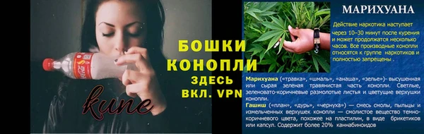 mix Богородицк