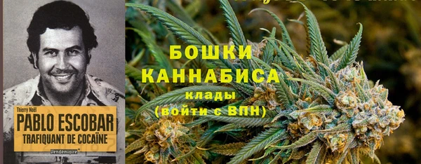 mix Богородицк