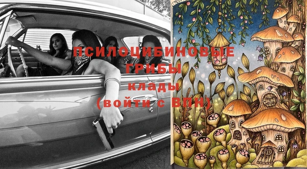 mix Богородицк