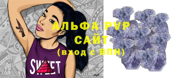 стаф Богородск