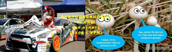 гидропоника Богданович