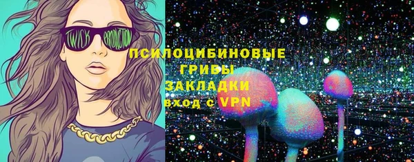mix Богородицк